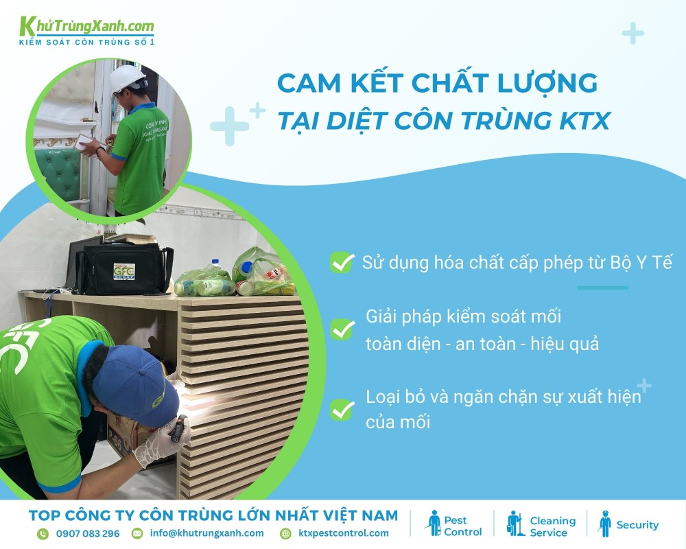 Diệt côn trùng KTX cam kết mang đến dịch vụ tốt nhất cho khách hàng tại Củ Chi 