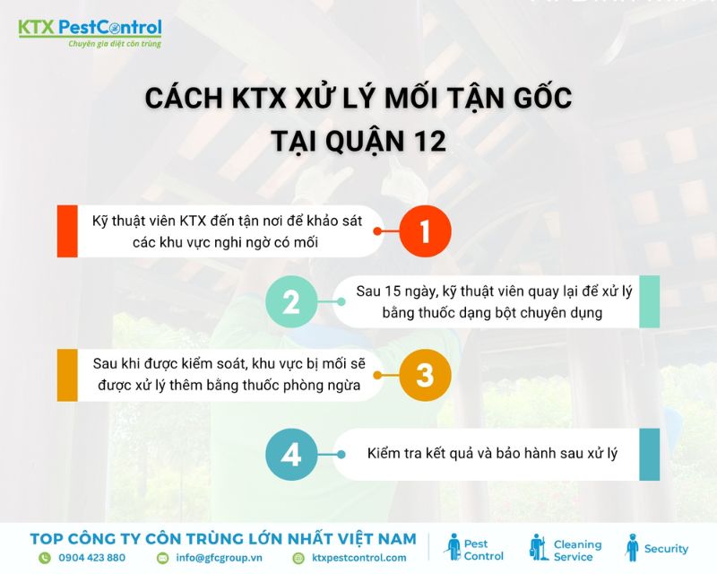 Quy trình xử lý mối tận gốc tại quận 12
