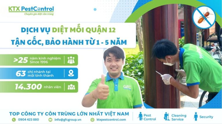 Dịch vụ diệt mối quận 12 tận gốc, bảo hành từ 1 – 5 năm