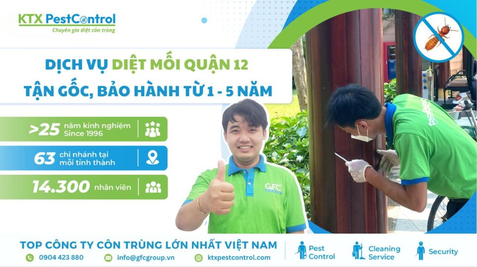 Dịch vụ diệt mối quận 12 tận gốc, bảo hành lâu dài