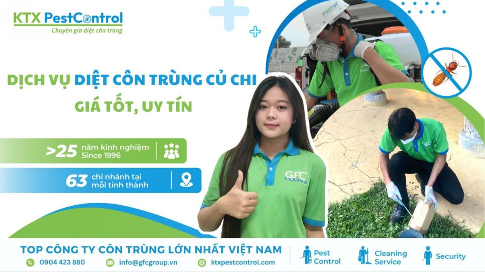 diệt côn trùng Củ Chi uy tín