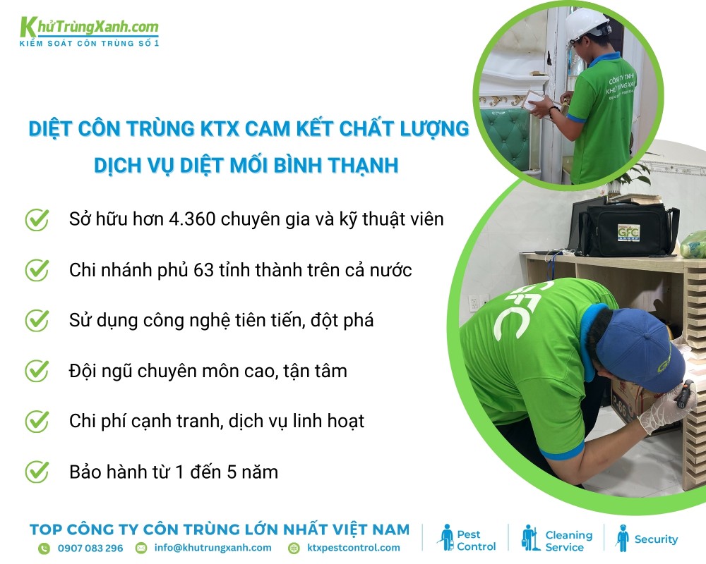 Diệt côn trùng KTX cam kết chi phí dịch vụ diệt mối cạnh tranh nhất thị trường 