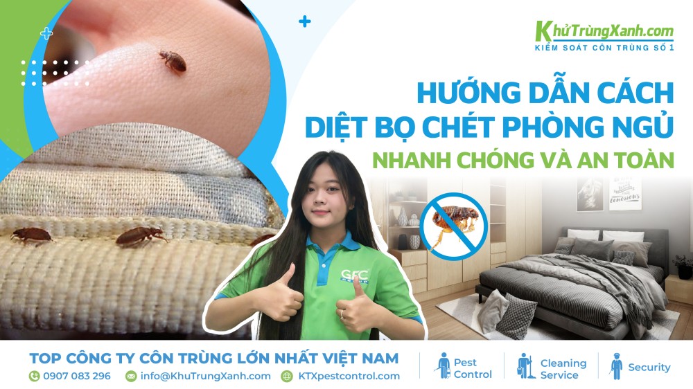 diệt bọ chét phòng ngủ