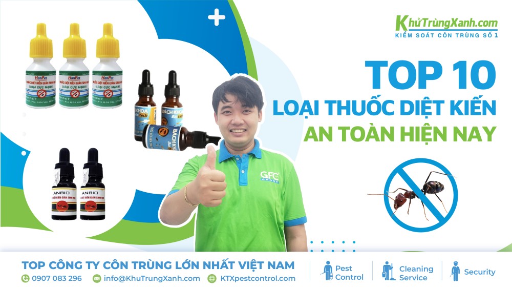 các loại thuốc diệt kiến
