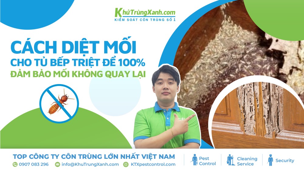 cách diệt mối tủ bếp