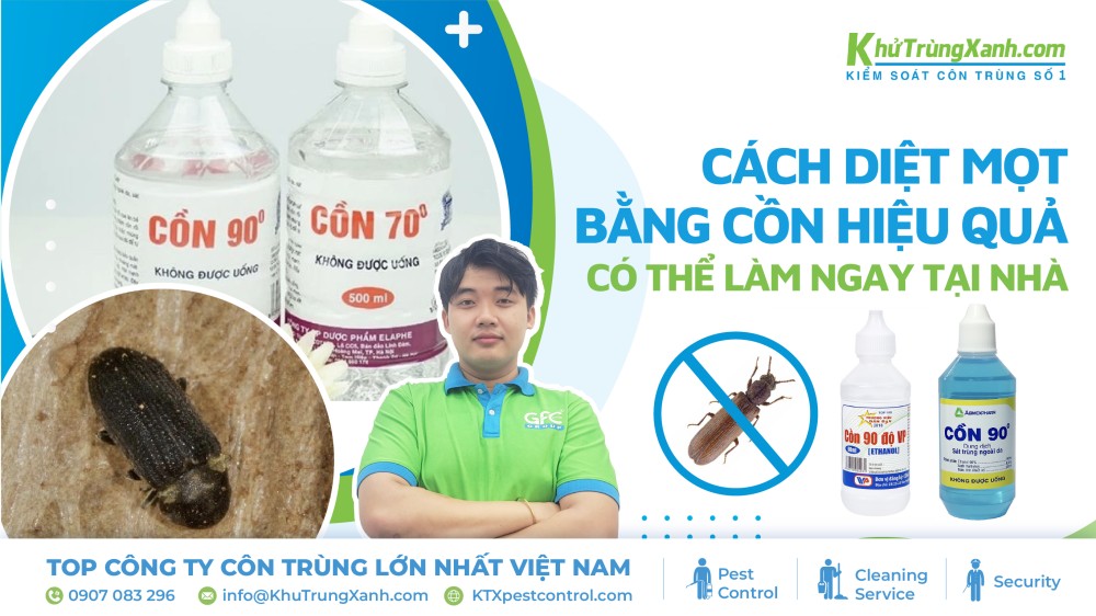cách diệt mọt bằng cồn