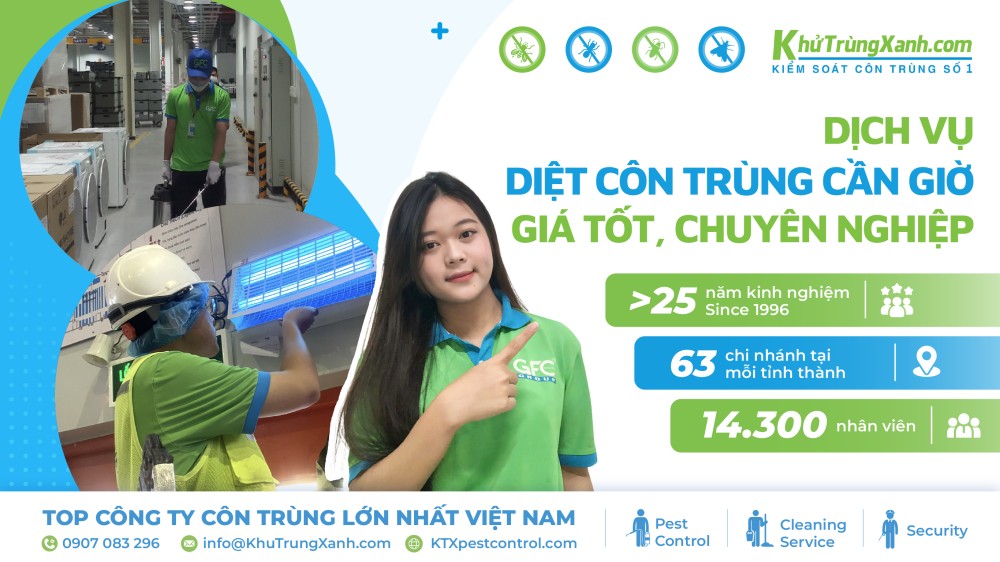 dịch vụ diệt côn trùng tại Cần Giờ