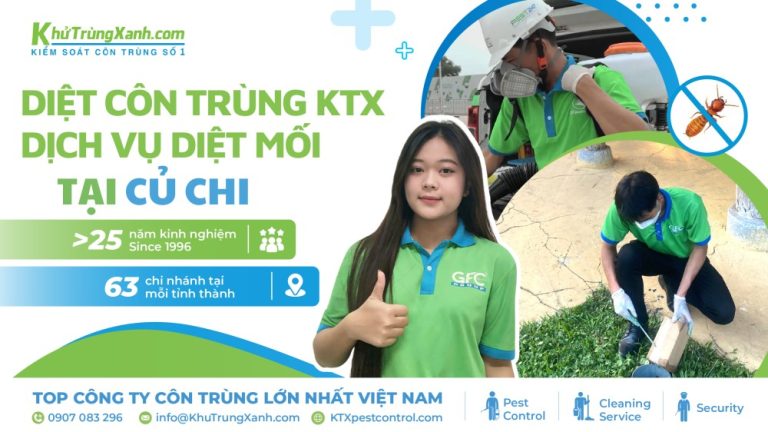 Dịch vụ diệt mối Củ Chi uy tín, chất lượng và chuyên nghiệp
