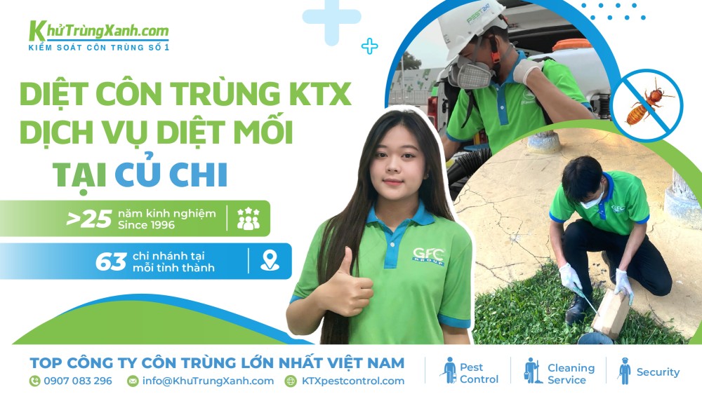 dịch vụ diệt mối tại củ chi