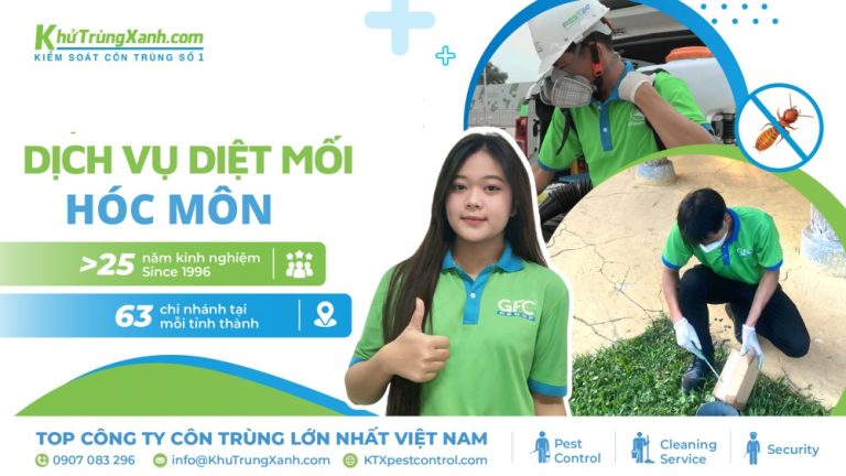 Dịch vụ diệt mối Hóc Môn tận gốc, an toàn và hiệu quả