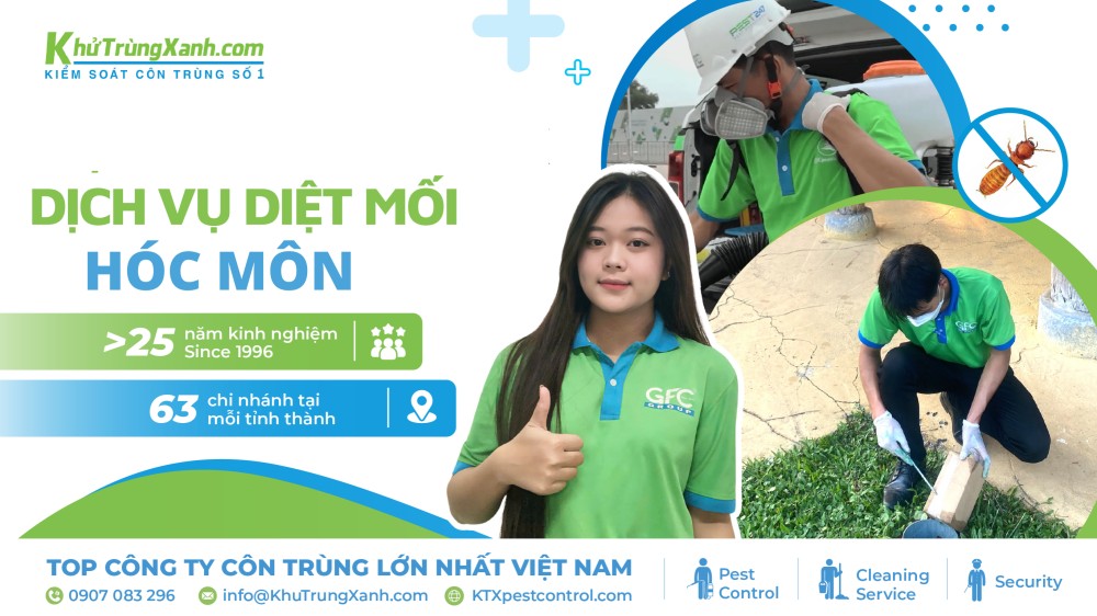 dịch vụ diệt mối tại hóc môn