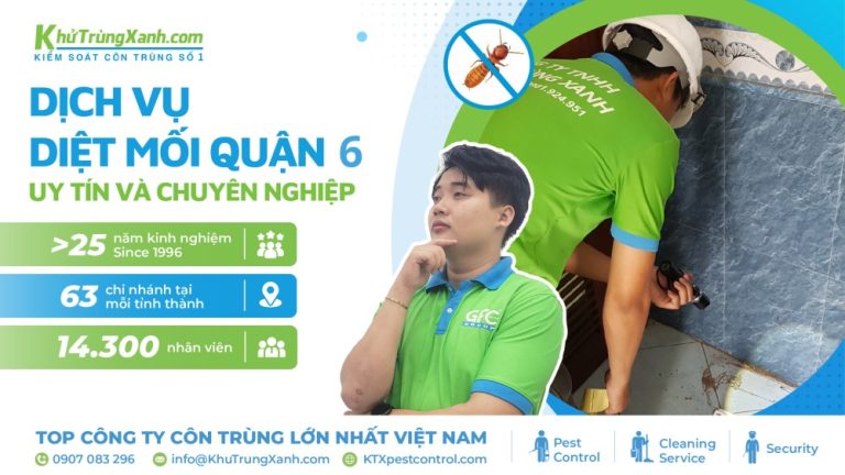 Dịch vụ diệt mối quận 6 – Uy tín, an toàn và giá rẻ