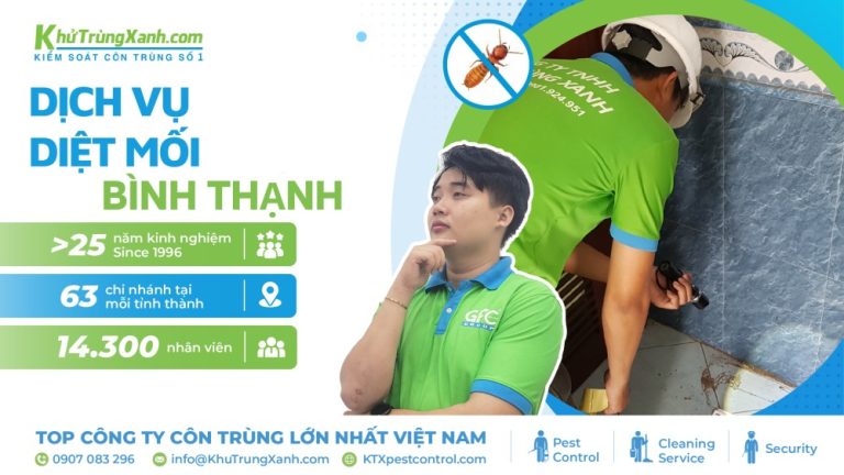 Dịch vụ diệt mối Bình Thạnh cam kết sạch mối 100%