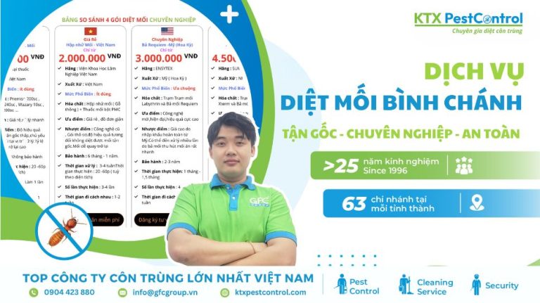 Dịch vụ diệt mối Bình Chánh tận gốc, chuyên nghiệp và an toàn 