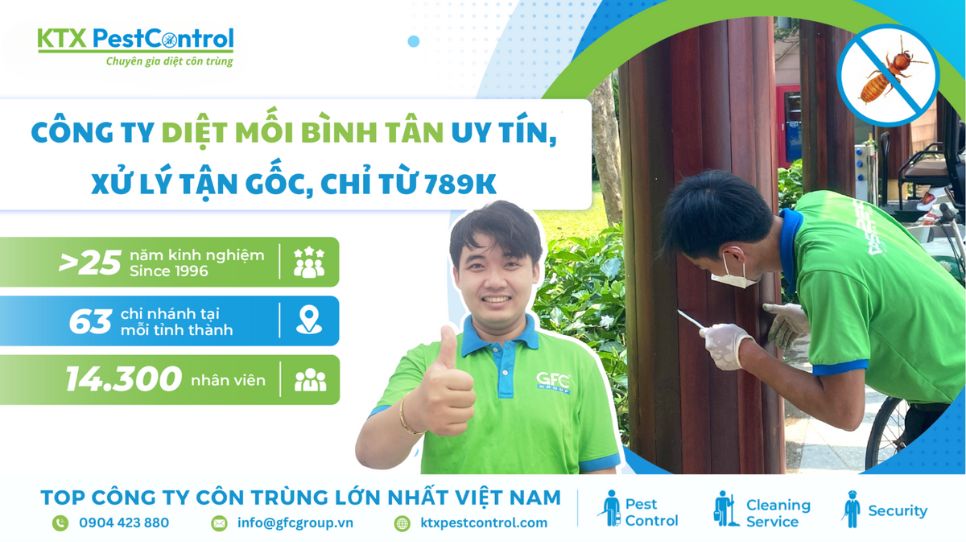 Công ty diệt mối Bình Tân uy tín, xử lý tận gốc