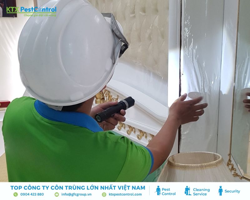 Nhân viên KTV kiểm tra hộp nhử mối