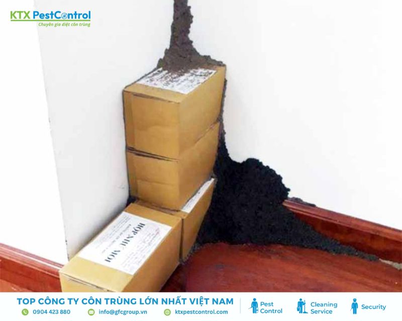 kiểm soát mối uy tín Đà Nẵng bằng họp nhử mối