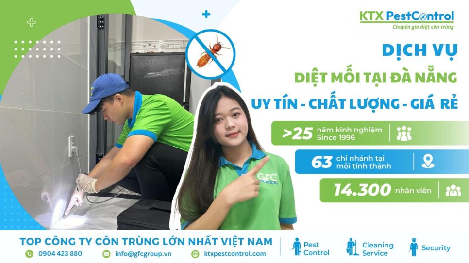 Dịch vụ diệt mối Đà Nẵng chuyên nghiệp, giá rẻ