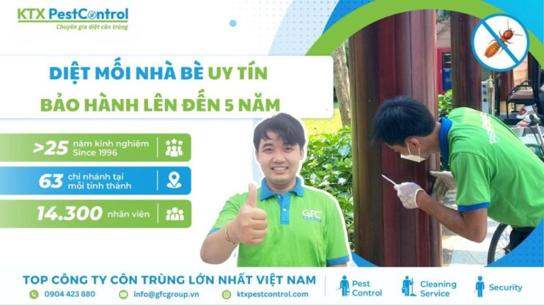 Diệt mối Nhà Bè uy tín, bảo hành lên đến 5 năm