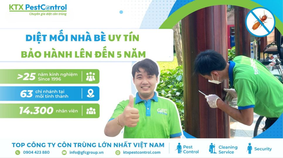 dịch vụ diệt mối Nhà Bè uy tín, bảo hành lâu dài