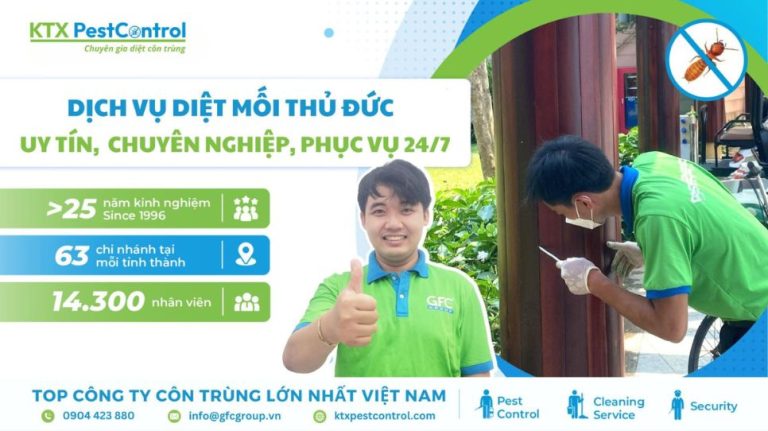 Dịch vụ diệt mối Thủ Đức uy tín, chuyên nghiệp, phục vụ 24/7