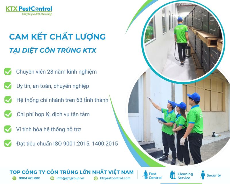 KTX có nhiều năm kinh nghiệm trong dịch vụ diệt côn trùng Bình Chánh