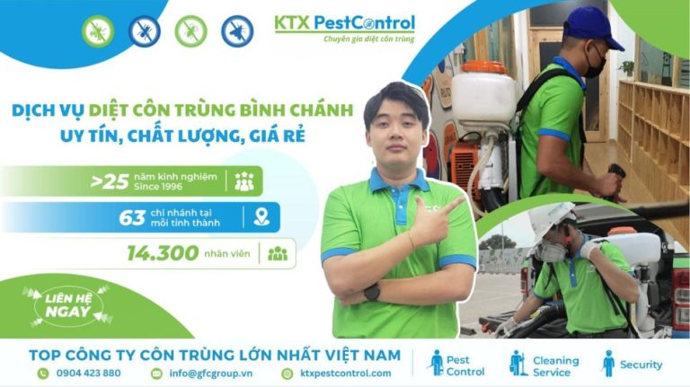 Dịch vụ diệt côn trùng Bình Chánh – Uy tín, chất lượng, giá rẻ