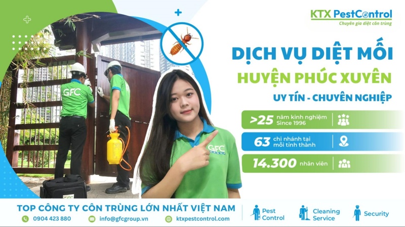 Dịch vụ diệt mối huyện Phú Xuyên