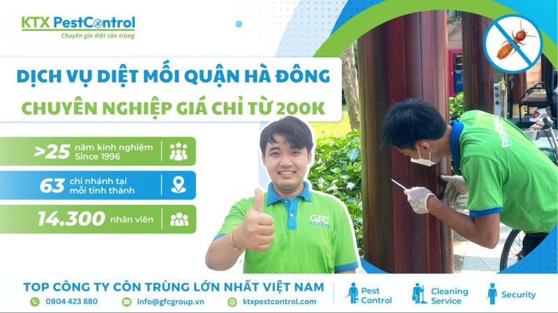 Diệt mối quận Hà Đông