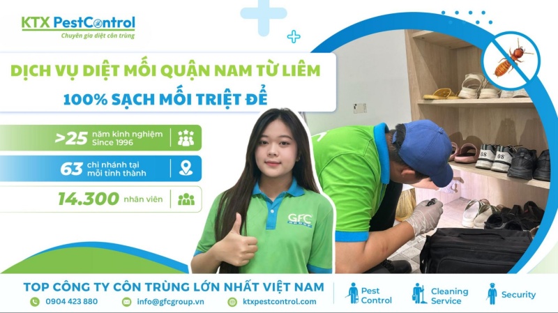 Dịch vụ diệt mối quận Nam Từ Liêm
