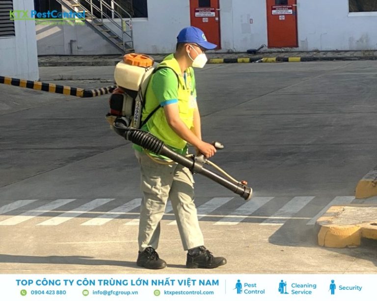 Dịch vụ diệt côn trùng tại Hà Nội uy tín, an toàn và nhanh chóng