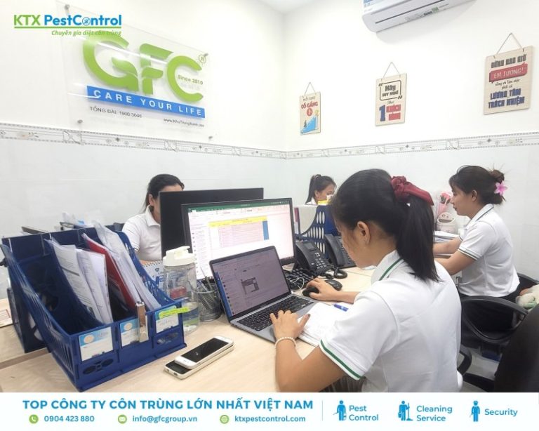 Dịch vụ diệt mối huyện Sóc Sơn uy tín và tận gốc