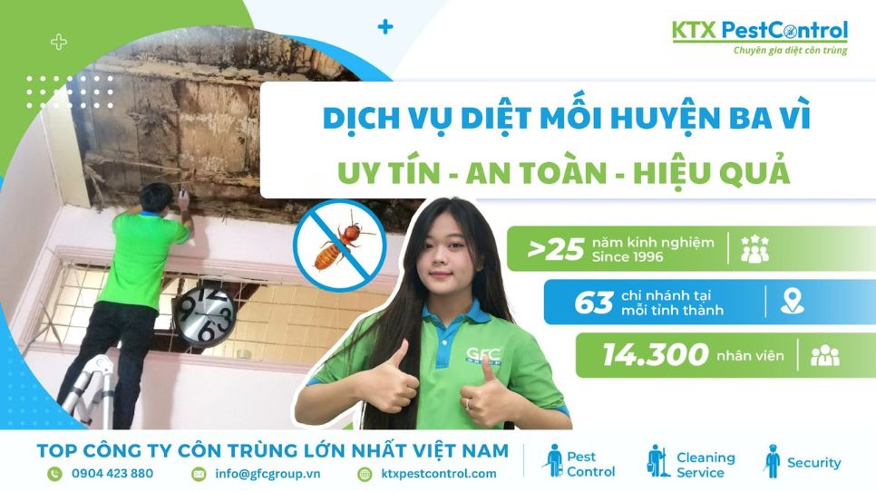 dịch vụ diệt mối huyện Ba Vì tận gốc