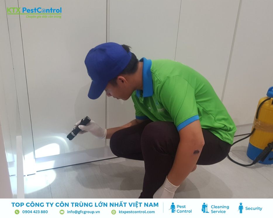 Nhân viên kiểm tra dấu hiệu mối dưới tủ bằng đèn pin
