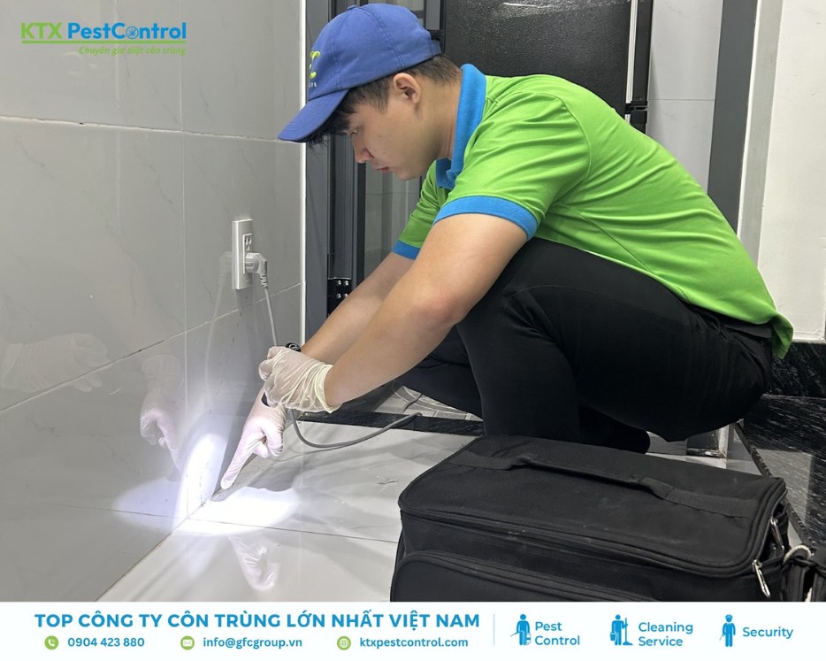 Kỹ thuật viên dịch vụ diệt mối huyện Hoài Đức đang soi đèn và kiểm tra đường đi của mối dọc theo chân tường nhà dân
