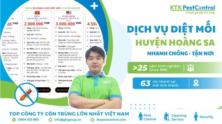 Dịch vụ diệt mối huyện Hoàng Sa nhanh chóng, tận nơi