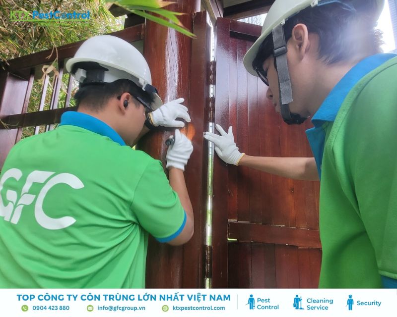 Đội ngũ kỹ thuật viên đang kiểm tra và xử lý mối mọt tại cửa gỗ