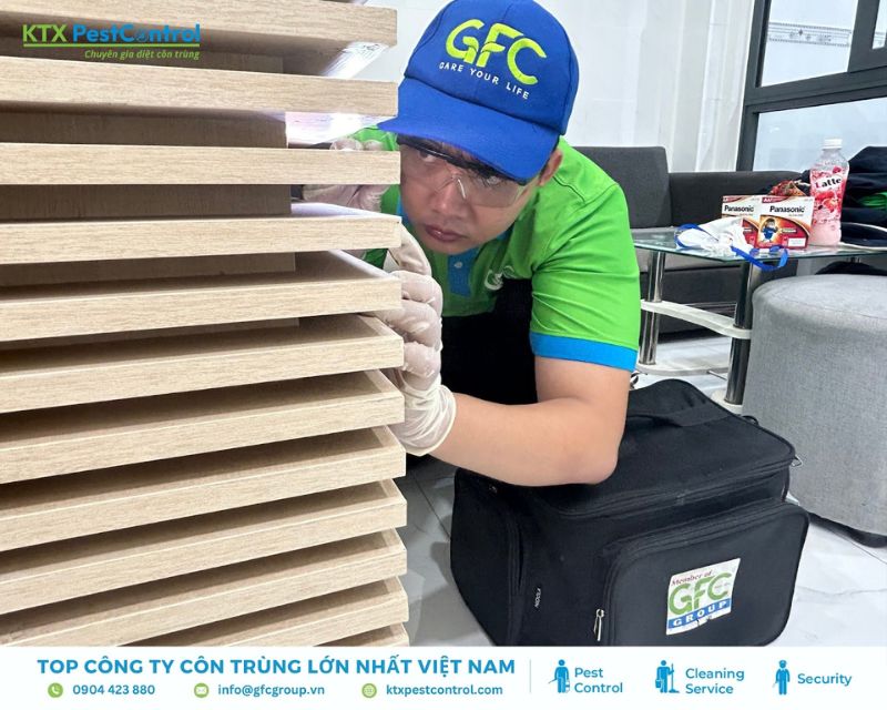 Nhân viên kỹ thuật dịch vụ diệt mối huyện Quốc Oai kiểm tra chi tiết và xử lý mối mọt trên bề mặt gỗ