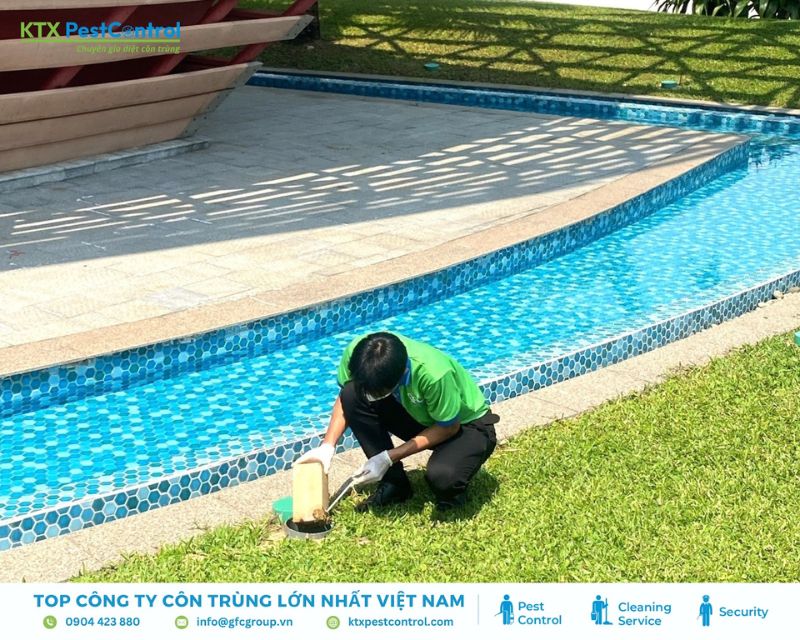 nhân viên diệt mối huyện Quốc Oai xử lý diệt mối ngoài khu vực sân vườn