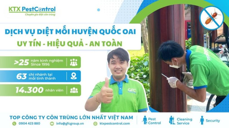 Dịch vụ diệt mối huyện Quốc Oai uy tín, hiệu quả và an toàn