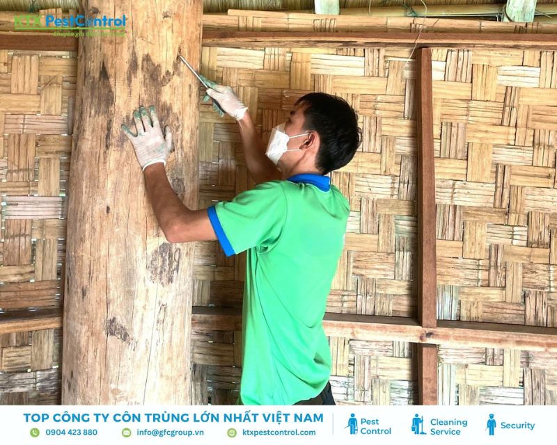 Nhân viên kỹ thuật đang xử lý mối mọt tại nhà ở huyện Quốc Oai