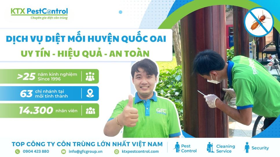 dịch vụ diệt mối huyện Quốc Oai uy tín