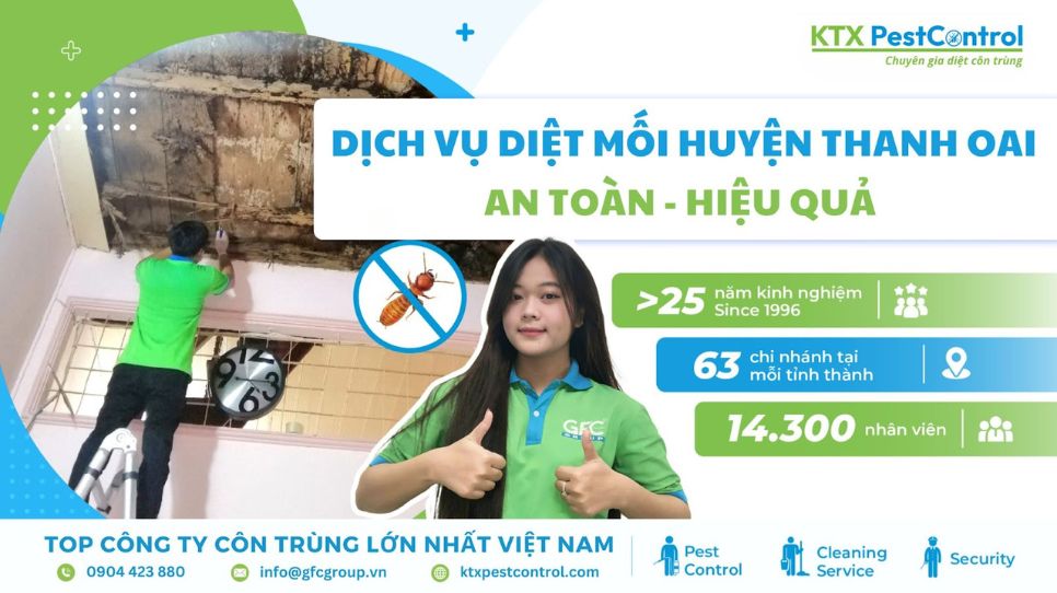 dịch vụ diệt mối huyện Thanh Oai giá rẻ