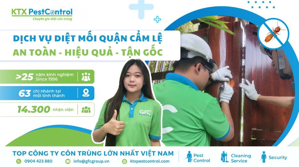 dịch vụ diệt mối quận Cẩm Lệ hiệu quả
