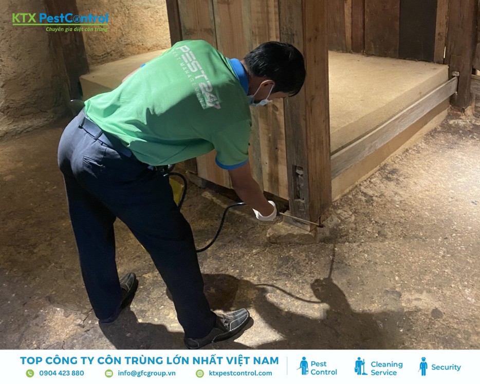 Kỹ thuật viên KTX Pest Control phun thuốc diệt mối tại chân cột gỗ