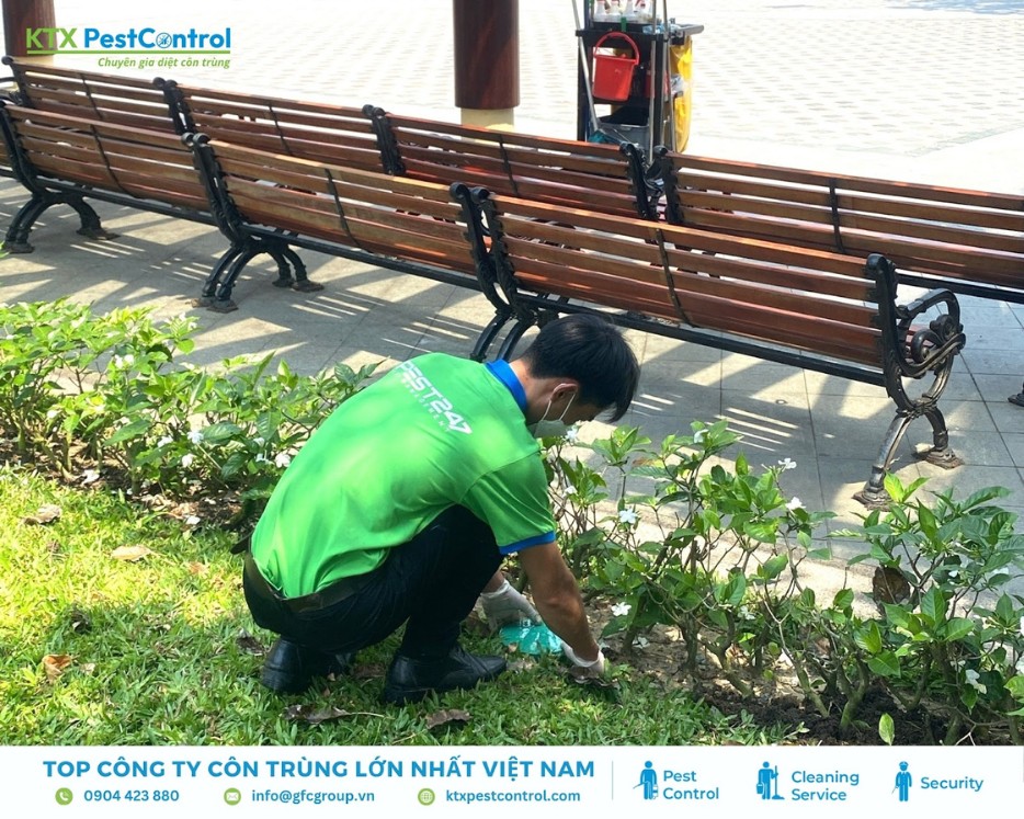 Nhân viên KTX Pest Control đặt hộp nhử mối trong khuôn viên công cộng tại quận Hai Bà Trưng