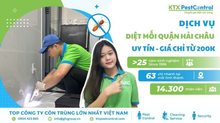Dịch vụ diệt mối quận Hải Châu uy tín, giá chỉ từ 200K