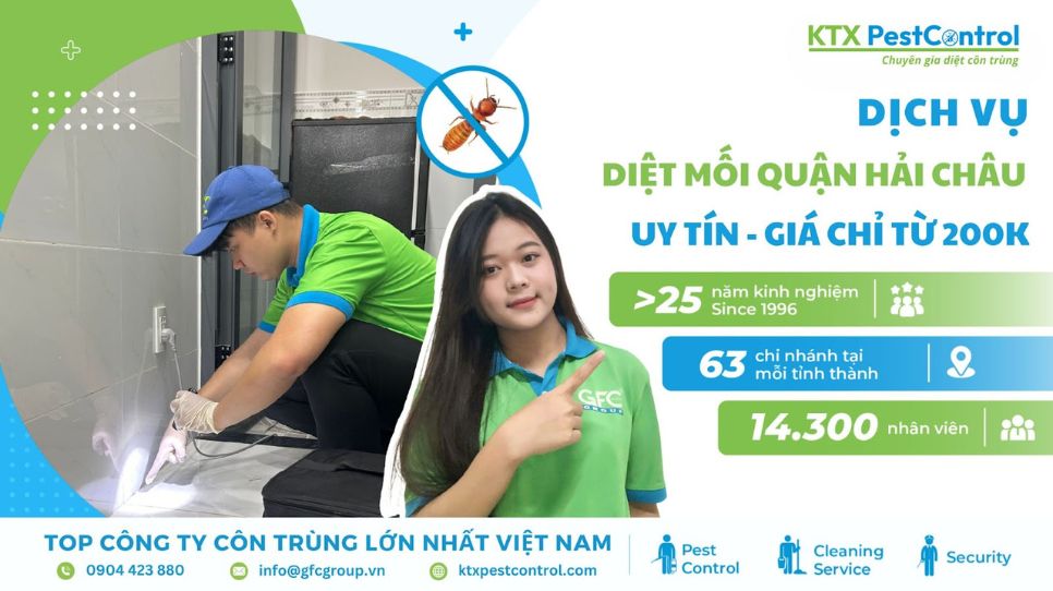 dịch vụ diệt mối quận Hải Châu, Đà Nẵng uy tín