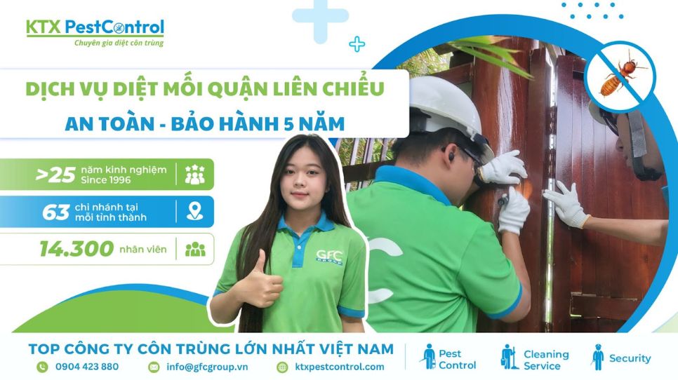 Dịch vụ diệt mối quận Liên Chiểu an toàn