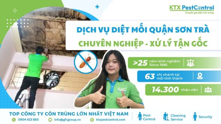 Dịch vụ diệt mối quận Sơn Trà chuyên nghiệp, xử lý tận gốc
